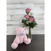 3_Rose_Baby_Girl_with_Plush
